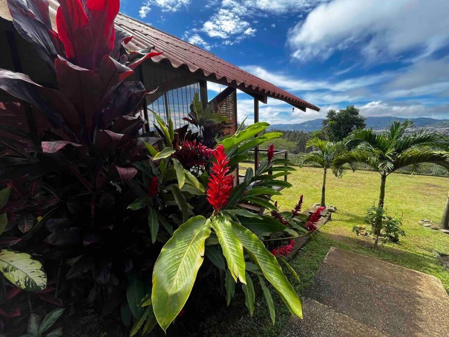 Chalet Zen Bella Vista San Juan  Εξωτερικό φωτογραφία